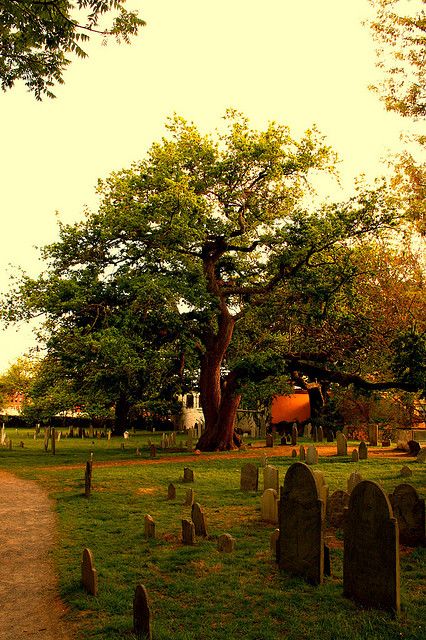 America's second oldest cemetery by lehcar1477 Graveyard Aesthetic, October Country, American Cemetery, Salem Massachusetts, Old Cemeteries, Salem Ma, Cemetery Art, Afraid Of The Dark, Old Stone