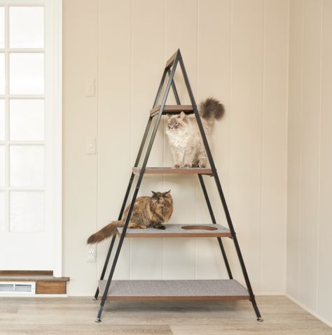 Cat Tree Alternatives, Modern Cat Tower, Sauder Furniture, Cat Scratching Furniture, Litter Robot, Modern Cat Furniture, Modern Cat Tree, Unique Vegetables, Furniture Scratches