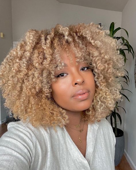 Curls For Black Women, Honey Blonde Curls, Afro Hair Wigs, Blonde Afro, Curly Afro Hair, Blonde Natural Hair, Andong, Highlights Curly Hair, Blonde Curly Hair