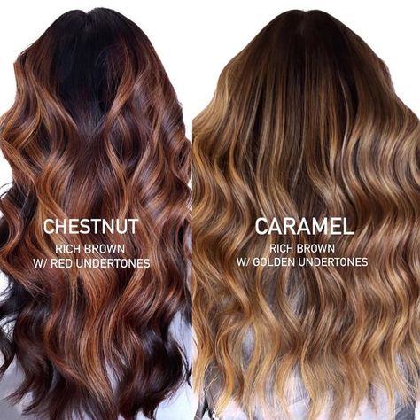 Red And Chestnut Hair, Golden Brown Hair With Red Highlights, Brown Honey Hair Balayage, Brunette Balayage Hair Cinnamon, Fall Ombre Hair Brunette Caramel, Auburn Chestnut Balayage, Fall Brunette Hair Color Balayage 2023, Fall Hair Ideas For Brunettes Highlights, Cinnamon Brown Hair Color Balayage