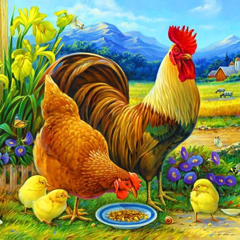 Chicken Wallpaper, Larger Piece Jigsaw Puzzles, 300 Pieces Jigsaw Puzzle, Chicken Pictures, Foto Transfer, Farm Art, Chicken Art, Chickens And Roosters, 500 Piece Jigsaw Puzzles