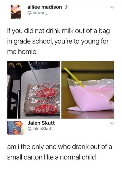 Milk In A Bag, Bagged Milk, Milk Carton, Hilarious Memes, Drink Milk, What’s Going On, Funny Pics, Have You Seen, At School