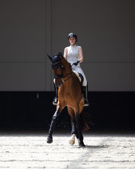 Maximilian Equestrian | My dancing partner 🕺 #equestrian #horse #dressage | Instagram Dressage Aesthetic, Dressage Photography, Equestrian Photoshoot, Equestrian Dressage, Horse Dressage, Horse Aesthetic, Dressage Horses, Dream Lifestyle, Horse Photography