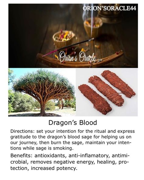 How To Make Incense, Sage Benefits, Dragons Blood Incense, Candle Magic Spells, Crystal Healing Chart, Magickal Herbs, Witch Rituals, Sage Smudging, Survival Bag