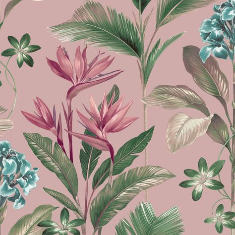 Floral Wallpaper Pink, Blush Pink Wallpaper, Floral Lampshade, Pink Backdrop, Pink Tropical, Tropical Wallpaper, Rose Pale, Wallpaper Pink, Wallpaper Direct