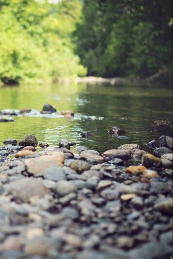 Lovely and peaceful Psalm 23, At The Lake, Image Hd, Country Life, In The Woods, Beautiful World, Happy Places, Wonders Of The World, The River