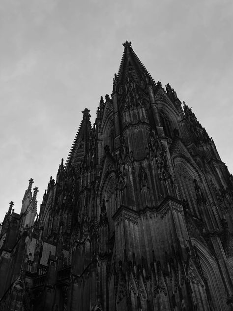 Cologne Aesthetic, Dark Architecture, Gothic Arch, German Architecture, Gothic Buildings, Gothic Castle, What A Beautiful World, Dark Pictures, Fantasy Book