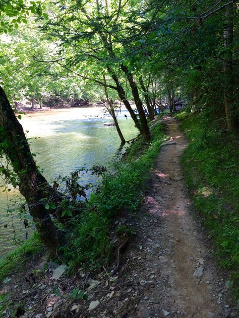 Trail Along Bull Run Clifton Va Changing Aesthetic, Fairfax County Virginia, Fairfax Virginia, Chincoteague Island, Fairfax County, Summer Hike, Historic Houses, Beautiful Hikes, Hobbit House