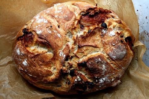 Cinnamon “Swirl” No Knead Bread, Baked in a Dutch Oven Cinnamon Bread Recipe Dutch Oven, Cinnamon Raisin Bread Recipe Dutch Oven, No Knead Cinnamon Bread Dutch Oven, Easy Dutch Oven Cinnamon Bread, Cinnamon Swirl Raisin Bread Recipe, Dutch Oven Cinnamon Bread Recipes, Cinnamon Swirl Artisan Bread, Dutch Oven Coffee Cake Recipe, Cinnamon Bread Dutch Oven