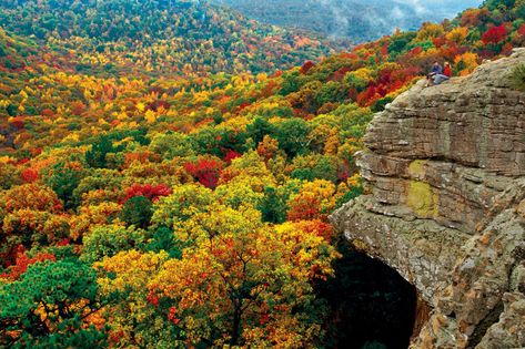 Top 8 Fall Color Road Trips in Arkansas | Only In Arkansas Ozark National Forest, Arkansas Travel, Ozark Mountains, Eureka Springs, Scenic Byway, Colorful Trees, Autumn Scenery, Fall Foliage, In The Fall