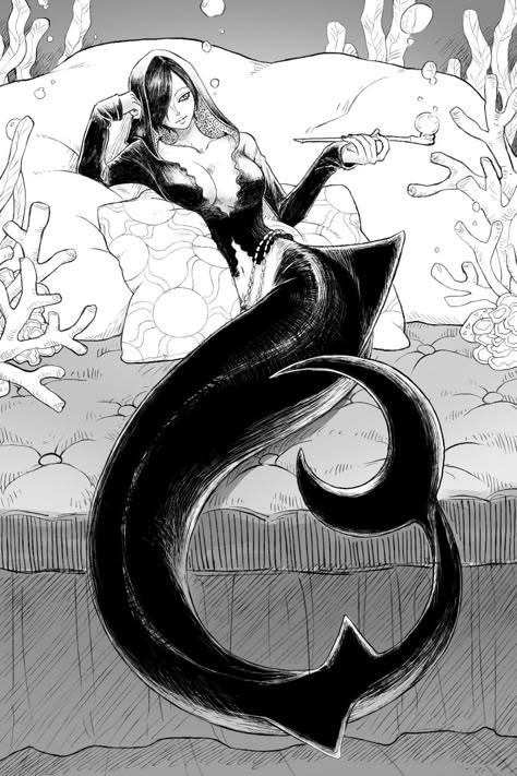 Shortfin Mako Shark, Mermaid One Piece, Monster Girl Encyclopedia, Bd Art, Mako Shark, One Peice Anime, Art Manga, One Piece Drawing, One Piece Comic