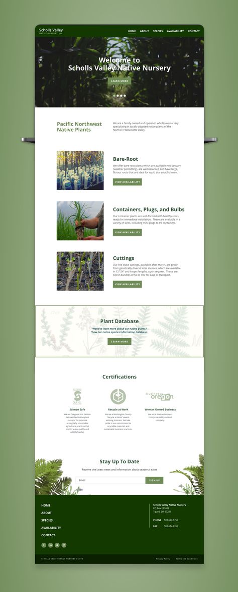 Designing a new website for a local nursery focused on sustainability. Super cool company and great people. Greenhouse Website Design, Conservation Website Design, Nursery Website Design, Sustainable Website Design Inspiration, Agro Website Design, Web Design Sustainability, Resources Page Website Design, Environment Website Design, Eco Friendly Website Design