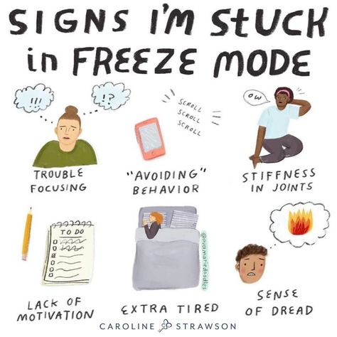 Trauma Unlocking™️ on Instagram: “FREEZE I hear many of my clients piling the guilt and shame on themselves because they feel like they lack focus or are being Lazy!!…” Freeze Mode, Mental Health Facts, Mental Health Therapy, Emotional Awareness, Mental And Emotional Health, Self Care Activities, Feeling Stuck, New Energy, Health Facts