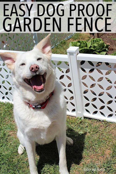 Is your dog getting into your backyard garden? Install this easy garden fencing to keep your dogs away so you can enjoy your garden in peace! Love this gorgeous, afforable, and easy to install option for families with gardens & dogs!  #freedomoasis @freedomoutdoorliving #ad Dog Proof Garden, Backyard Dog Fence, Dog Proof Fence, Metal Garden Fencing, Dog Barrier, Diy Garden Fence, Small Fence, Dog Yard, Pet Barrier