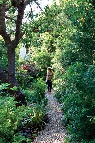 Shade Garden Pictures - Gallery | Garden Design Acanthus Mollis, Portland Garden, Los Angeles House, Lake Garden, Gravel Path, Garden Solutions, Sloped Garden, Garden Pictures, Woodland Garden