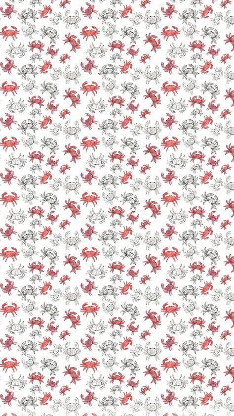 Cute Crab Wallpaper, Crab Wallpaper Iphone, Crab Wallpaper, Cute Wallpaper Backgrounds, Phone Backgrounds, Crab, Wallpaper Backgrounds, Cute Wallpapers, Aesthetic Wallpapers