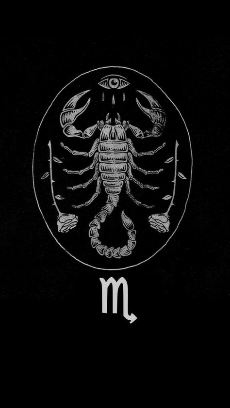 Scorpion Aesthetic, Scorpion Wallpaper, Wallpaper Zodiac, Scorpions Zodiac, Zodiac Sign Scorpio, Scorpio Art, Astrology Scorpio, Scorpio Tattoo, Scorpio Zodiac Facts