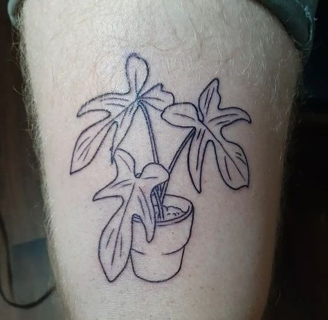 Philodendron Tattoo Design, Philodendron Tattoo, Houseplant Tattoo, Small Snakes, Plant Tattoo, Up Tattoos, Cover Up Tattoos, Snake Plant, Tattoo Inspo