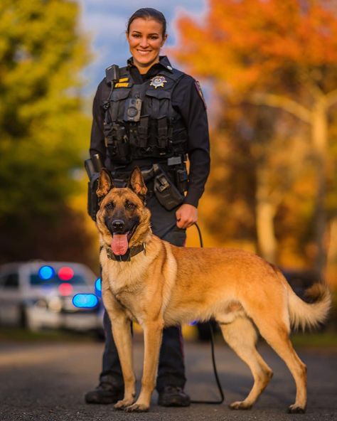 Belgian Malinois Police, Police K9 Photography, K-9 Unit, K 9 Dogs, K9 Police Dogs, K9 Police, K9 Officer, Police Canine, K9 Dogs