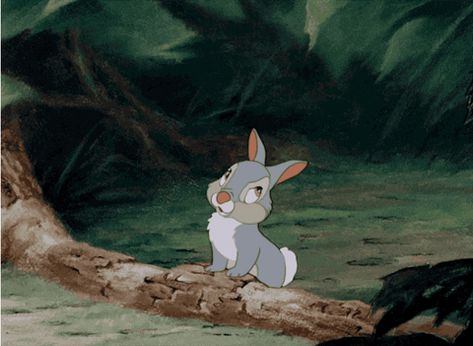 Thumpers Girlfriend GIFs - Find & Share on GIPHY Panpan Disney, Thumper Disney, Bambi And Thumper, Bambi Disney, Images Disney, Disney Gif, Image Chat, Disney Favorites, Disney Addict