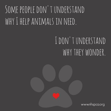 Animal lovers understand perfectly. #adopt #resuce #nhspca #loveanimals Rescue Quotes, People Dont Understand, Help Animals, Stop Animal Cruelty, Jolie Photo, Animal Quotes, Dog Quotes, Siberian Husky, Yorkshire Terrier