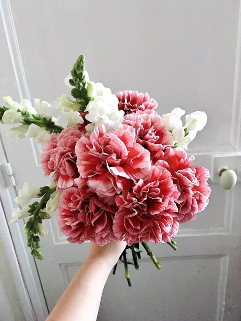 Carnation Flower Wedding Bouquets, Pink Carnation Bridal Bouquet, Carnations Wedding Decorations, Carnations Bouquet Wedding, Carnations Wedding Bouquet, Carnation Decor, Carnation Bouquet Wedding, Carnation Bridesmaid Bouquet, Wedding Carnations