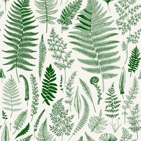 Wallcovering Pattern, Illustration Colorful, Fern Pattern, Fern Leaves, Leaves Wallpaper, Beige Wallpaper, Set Decor, Lighted Canvas, Floral Wall Decor