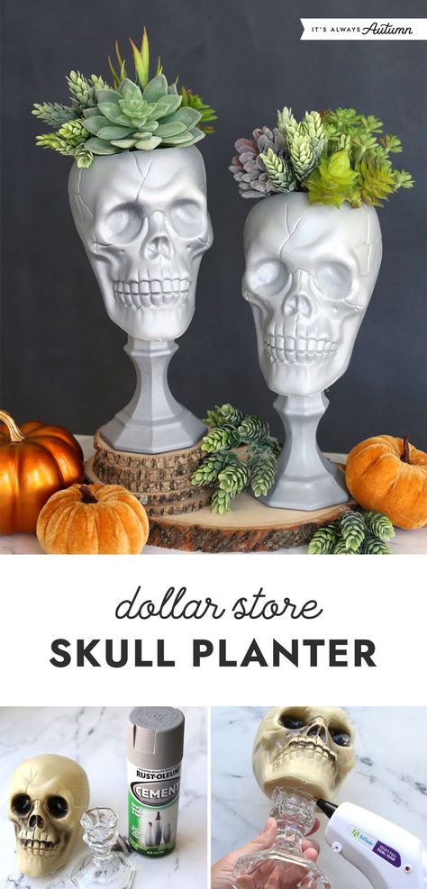 Transform a plastic skull and a glass candle holder from the dollar store into a faux cement skull planter. This easy craft project will be the perfect addition to your Halloween decor. Vampire Outdoor Decor, Halloween Glass Candle Holder, Dollar Store Gothic Decor, Skull Room Decor Ideas, Diy Halloween Skull Topiary, Halloween Planters Diy, Diy Dollar Store Fall Crafts, Skull Crafts Diy Ideas, Dollar Tree Halloween Skull Decor