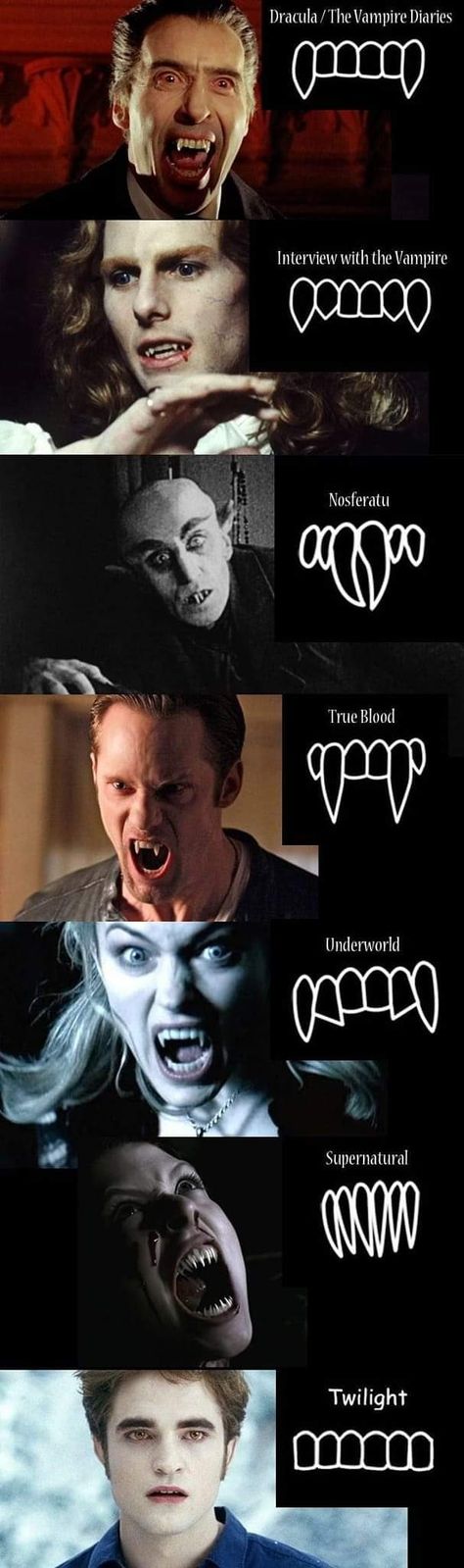 Twilight Funny, Vampire Teeth, Interview With The Vampire, Twilight Saga, What’s Going On, Really Funny Pictures, Funny Pics, News Blog, Gotham