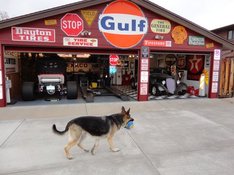 Hot Rod Garage Ideas, Vintage Garage Ideas, Garage Aesthetic, American Garage, Dog N Suds, Loft Garage, Uk Garage, Garage Paint, Retro Garage