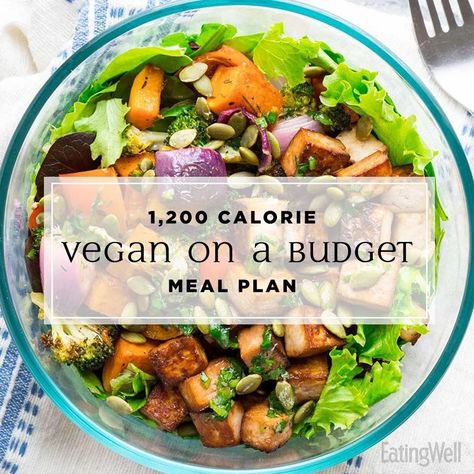 Vegan On A Budget, 200 Calorie, Vegan Meal Plan, Vegan Diet Plan, Budget Meal Planning, Red Mountain, Keto Vegan, Vegan Meal Plans, Vegan Meal Prep