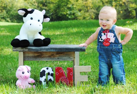 Farm Themed 1st Birthday, 1st Farm Birthday, Farm Theme Pictures, Farm Animal 1st Birthday Party Boy, 1 Year Birthday Farm Theme, 1 Year Farm Birthday, Farm Birthday Theme Boy, Farm Themed 1st Birthday Party Boys, Farm Animal First Birthday