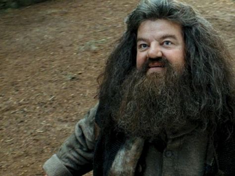 Rubeus Hagrid Harry Potter Creatures, Hogwarts Professors, Harry Potter Wiki, Robbie Coltrane, Rubeus Hagrid, Cho Chang, Potter Facts, Harry Potter Facts, Albus Dumbledore