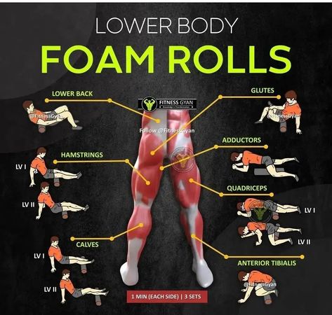 Fitness Era, Roller Exercises, Roller Workout, Foam Roll, Biceps Brachii, Body Foam, Foam Roller Exercises, Workout Eating, Training Workouts