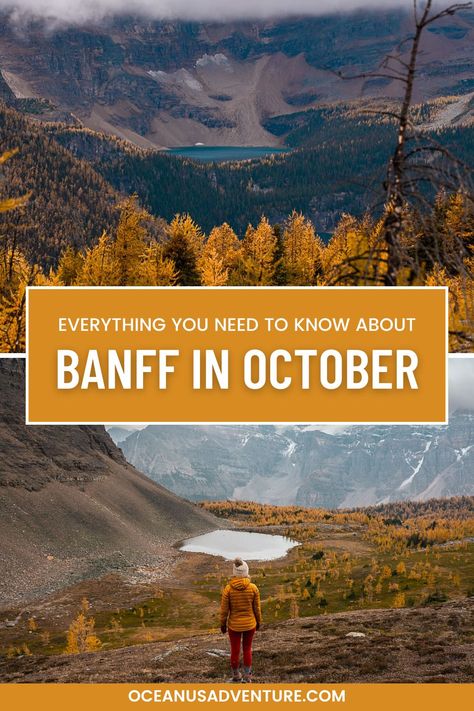 Is it worth it to visit Banff in October? Or should you just wait until Summer and visit then like all of the other tourists? Read this guide to find out!

Banff in October | Things to do in Banff in October | Is Banff Worth visiting in October | Does it snow in Banff in October Banff Canada In October, Banff In October, Banff October, Banff Fall, Canada In October, October Pictures, Things To Do In Banff, Lake Agnes, Cute Cabins