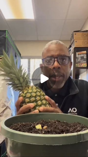 DIYS Home Plant on Instagram: "How to plant a pineapple top. Great content by @andrethefarmer. Follow HIM for more!

#pineapple #pineappletop #andrethefarmer #growwithandre #permaculturelife" Plant Pineapple Top, Planting Pineapple Top, Planting Pineapple, Diy Pineapple, Pineapple Top, Indoor Gardening, April 27, Permaculture, Yummy Breakfast