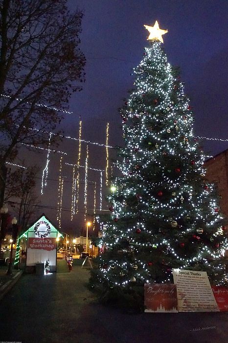 Christmas in downtown Grants Pass, Oregon Oregon Christmas, Grants Pass Oregon, Christmas Photograph, Oregon Life, Grants Pass, Washington Park, Merry Happy, Southern Oregon, Steamboat Springs