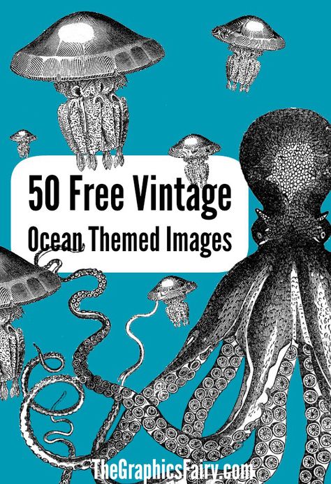 I have 50 favorite free ocean themed graphics for you today! Boats, sea creatures, bathing beauties, and shells are a few of the pretty images you'll find n this round up over at The Graphic Fairy.... Ocean Images, Nautical Crafts, Vintage Ocean, The Graphics Fairy, Graphics Fairy, Vintage Junk, Vintage Junk Journal, Free Poster, Vintage Printables