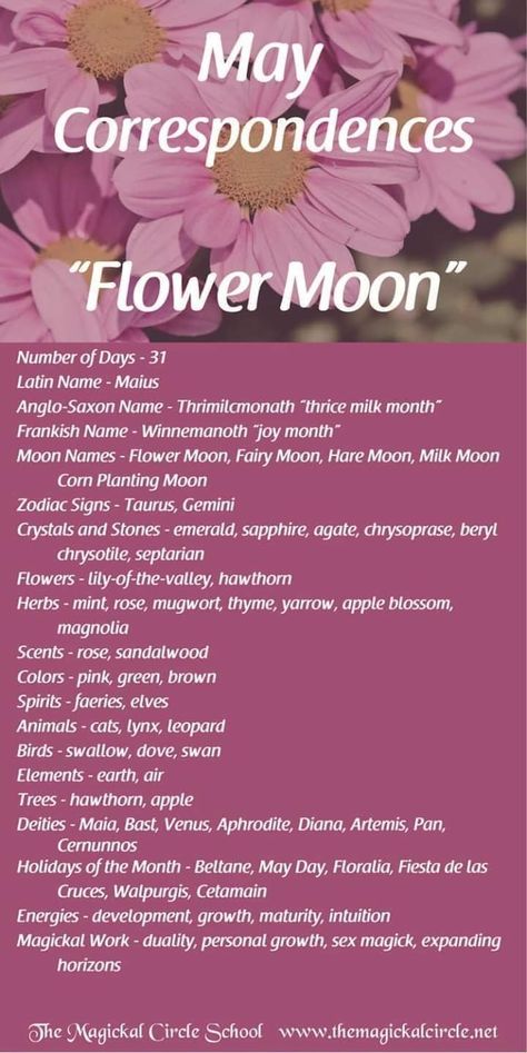 Moon Correspondences, Full Moon Names, Moon Madness, Lunar Witch, Moon Zodiac, Moon Meaning, Moon Names, Moon Journal, Flower Moon