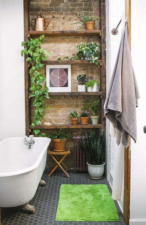 Beautiful house plants in an incredible comfortable bathroom with a white claw foot tub and black tiled floor. Many amazing house plants on shelves against a brick wall round out this bathroom design. Bathroom With Plants, Brick Bathroom, Bad Inspiration, Decor Baie, Bathroom Plants, Have Inspiration, Brick Tiles, Exposed Brick, Design Case