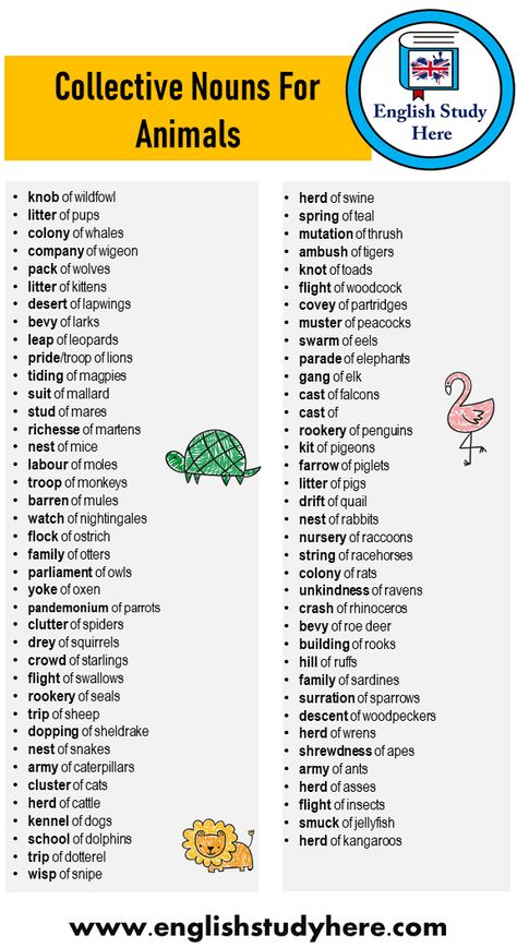 +75 Collective Nouns For Animals Word List knob of wildfowl litter of pups colony of whales company of wigeon pack of wolves litter of kittens desert of lapwings bevy of larks leap of leopards pride/troop of lions tiding of magpies suit of mallard stud of mares richesse of martens nest of mice labour of moles troop of monkeys barren of mules watch of nightingales   flock of ostrich family of otters parliament of owls yoke of oxen pandemonium of parrots clutter of spiders drey of squirrels ... Eng Grammar, Improve English Writing, Litter Of Kittens, Pack Of Wolves, Language Journal, Study English Language, Common Nouns, Study English, Speak Spanish