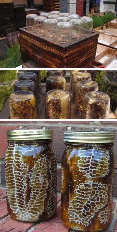 DIY Beehive Diy Beehive, Backyard Beehive, Bee Hives Diy, Bee Hive Plans, Backyard Bee, Raising Bees, Backyard Beekeeping, Bee Boxes, Bee Hives