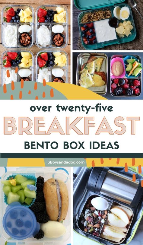 Start the day with these delicious Bento Breakfast Box Ideas! They're fast, simple, and full of flavor - and ready to fill bellies! Breakfast Snack Box Ideas, Adult Bento Box Breakfast Ideas, Breakfast Bento Box Ideas For Adults, Breakfast Protein Box Ideas, Breakfast Bistro Boxes, Healthy Breakfast Bento Box Ideas, Lunch Box Breakfast Ideas, Bento Box Breakfast For Adults, Breakfast Snackle Box Ideas