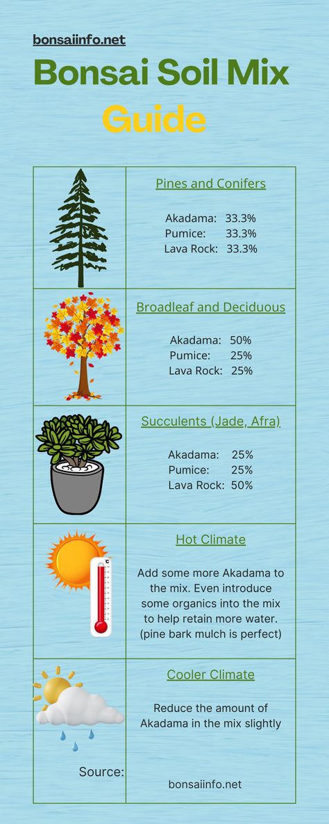 A basic guide to bonsai soil mixes and ratios. For a more detailed overview and list of substitutes that can be used, Go to bonsaiinfo.net to take a deeper dive. Bonsai Soil How To Make, Bonsai Soil Mixture, Baby Parakeets, Cherry Blossom Bonsai, Bonsai Kit, Garden Of Eve, Bonsai Making, Bonsai Pruning, Bonsai Ficus