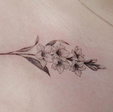 28 Gladiolus and Poppy Tattoo Ideas | Balcony Garden Web Hawthorne Flower Drawing, Gladiolus And Poppy Tattoo, Gladiolus Tattoo Design, Hawthorn Flower Tattoo, Gladiolus Flower Drawing, Gladioli Tattoo, Gladiolas Tattoo, Vine Wrap Tattoo, Hawthorn Tattoo