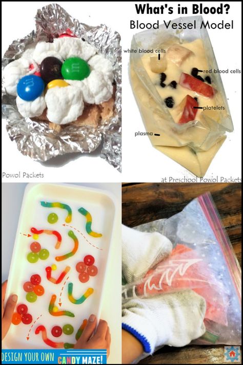 40+ STEM Activities for the Kitchen - From Engineer to Stay at Home Mom Food Engineering, Engineering Activities, White Blood Cells, Kids Food, Fun Kids Food, Stay At Home Mom, Stem Activities, Activities To Do, Stay At Home