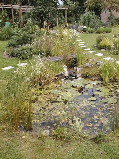 50 Awesome Wildlife Garden Ideas | Garden Buildings Direct Wildlife Garden Ideas, Wildlife Ponds, Wildlife Garden Design, School Farm, Wildlife Pond, Pond Construction, Gardening Services, Bog Plants, Bog Garden