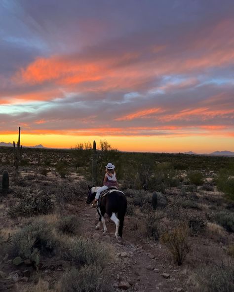 #arizona #sunset #desert Arizona Farm, Cowboy Husband, Arizona Cowboy, Desert Cowgirl, Arizona Summer, Arizona Aesthetic, Desert Trip, Arizona Trip, Sunset Desert