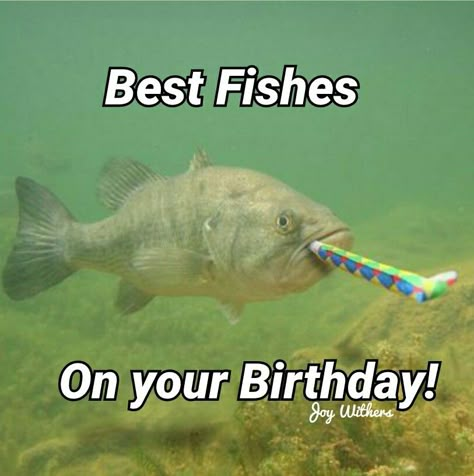 Happy Birthday Fishing Quotes, Fishing Birthday Quotes, Happy Birthday Fishing Funny, Happy Birthday Fisherman, Fishing Meme, Fish Meme, Happy Birthday Fishing, Birthday Fishing, Funny Fish