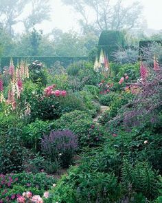 Foxglove cranesbill geranium peonies Nantucket Gardens, English Gardens, Cottage Garden Design, Walled Garden, English Country Gardens, Outdoor Room, Garden Plans, Cottage Gardens, Have Inspiration